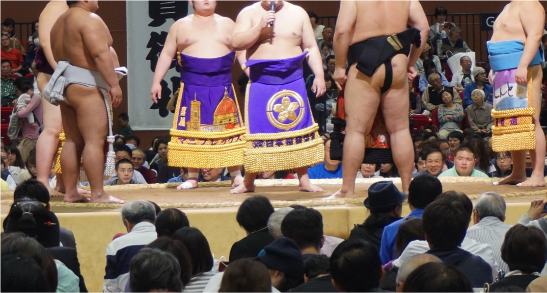 相撲まわし2号約6m 野太い